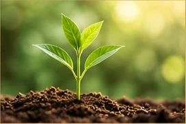 People and environmental well-being