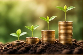 Sustainable growth and long-term prosperity